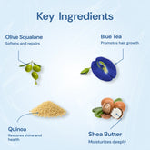 Nefol Hair Mask with Blue Tea, Shea Butter, Quinoa, and Olive Squalane - Restores Shine, Softens Hair - 300ml - Nefol